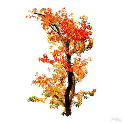 Fall Tree Wall Print