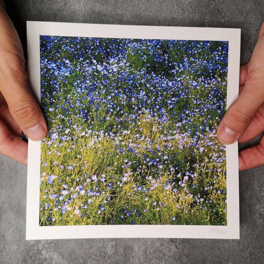 Forget Me Not Print
