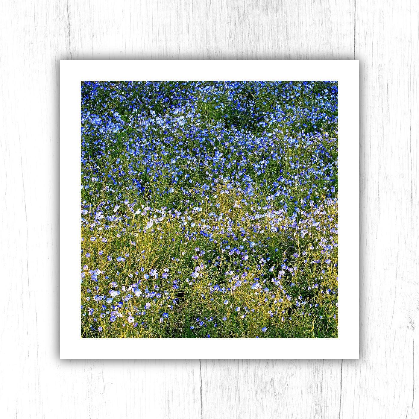 Forget Me Not Print