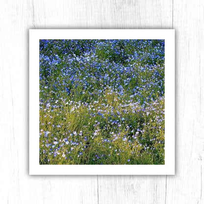 Forget Me Not Print