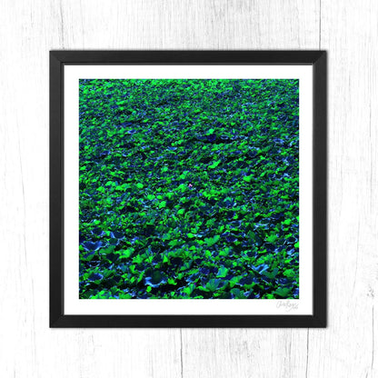 Lotus Pond Print