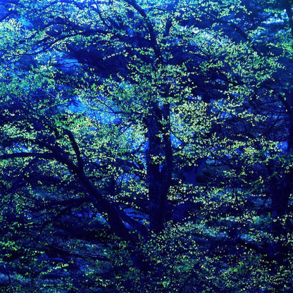 Blue Green Tree Print