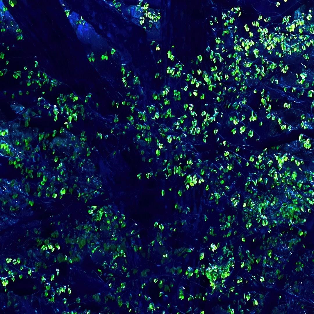 Blue Green Tree Print