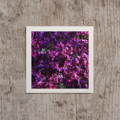 Hot Pink Wheel of Spring Print