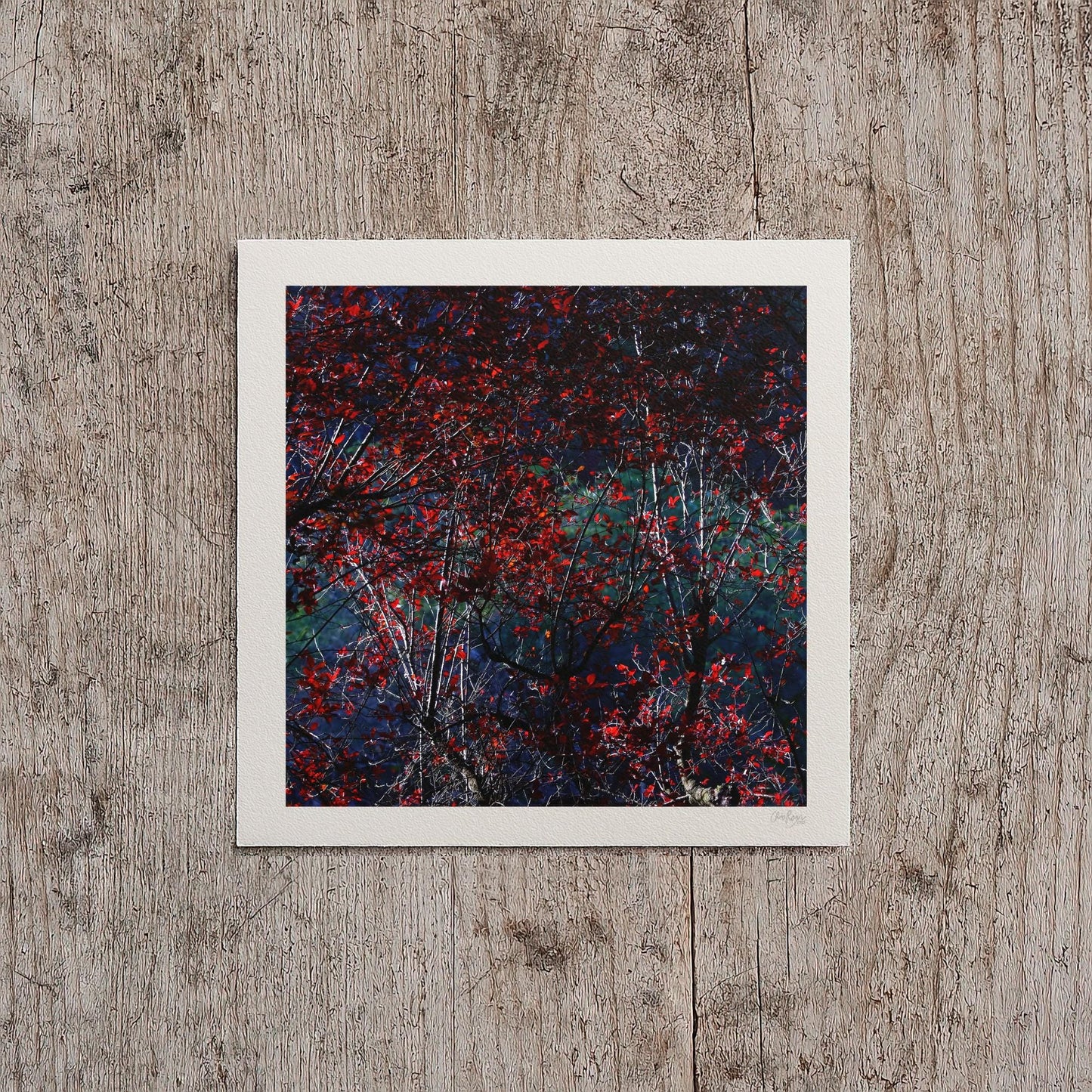 Crimson Red Gothic Print
