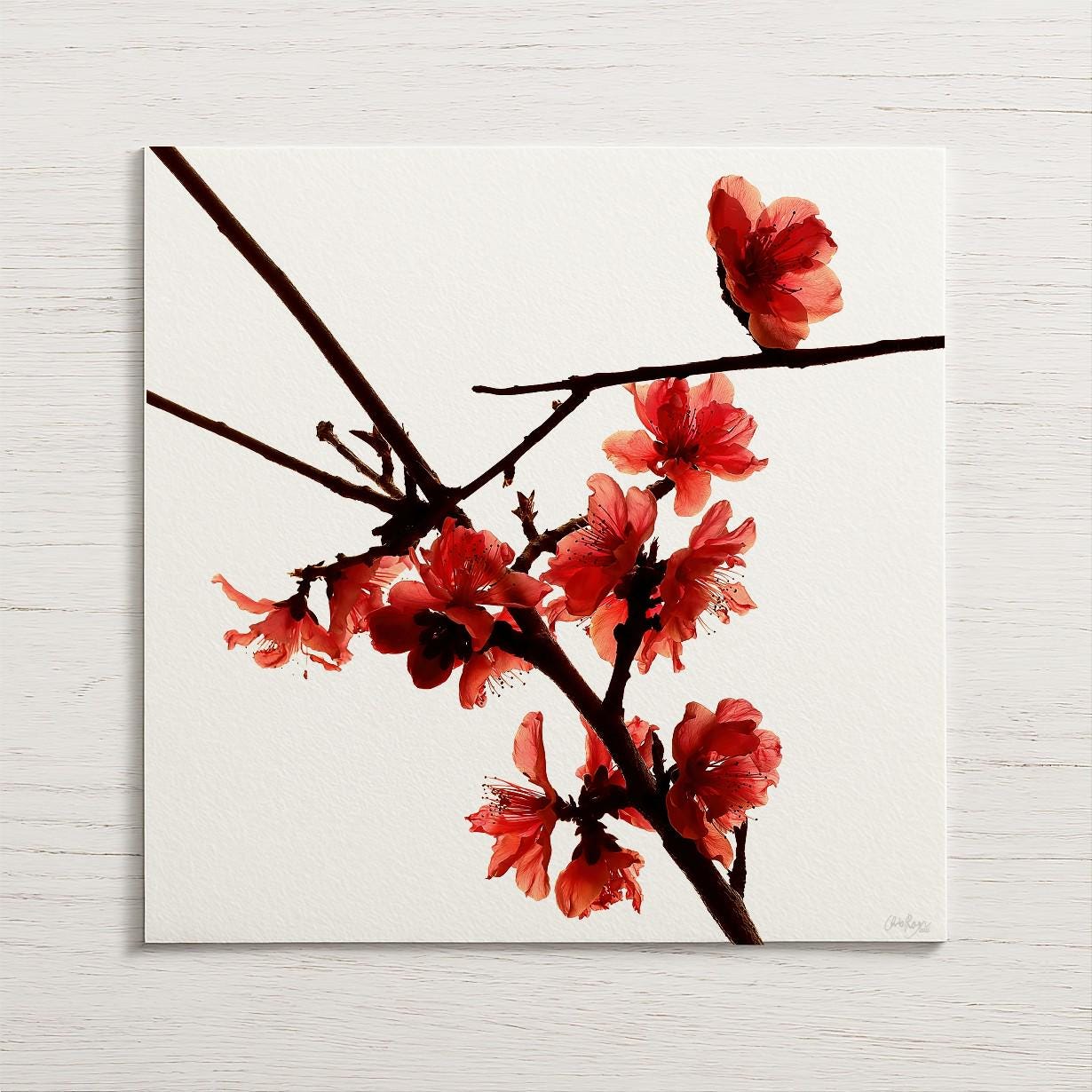 Red Peach Blossom Print