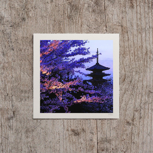 Japanese Cherry Blossom Print