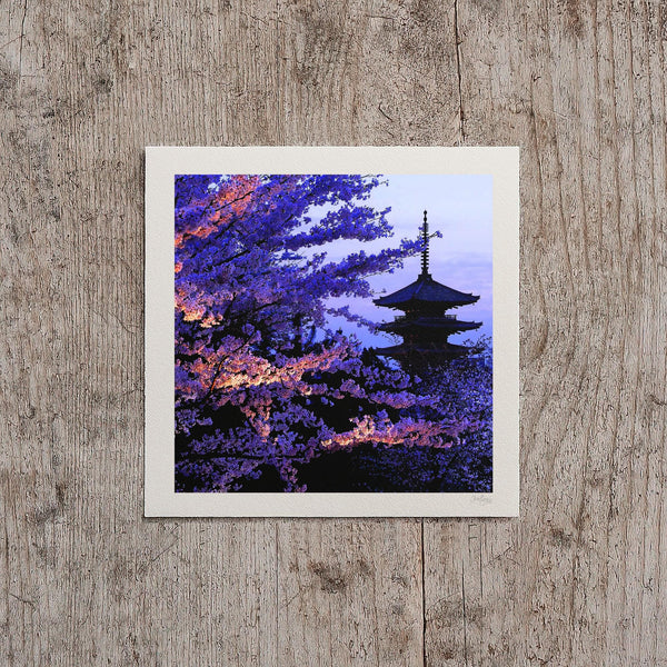 Japanese Cherry Blossom Print