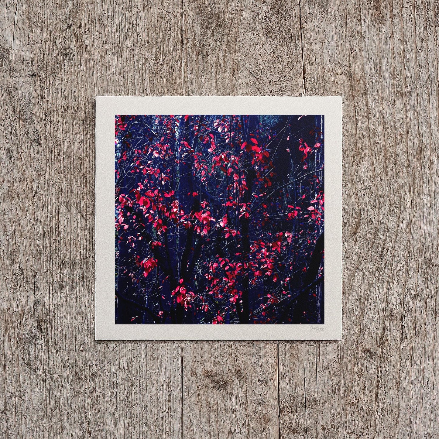 Gothic Dark Forest Print