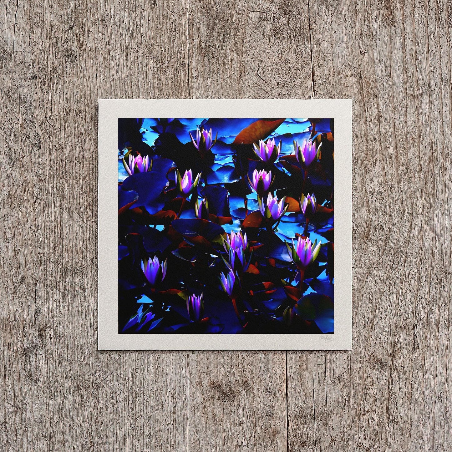 Moody Water Lily Print