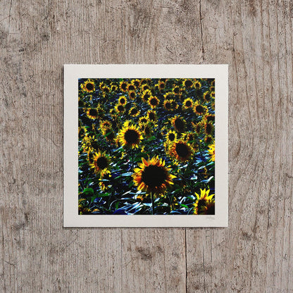 Yellow Sunflowers Print
