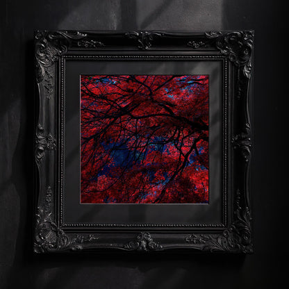 Japanese Garden Maple Print