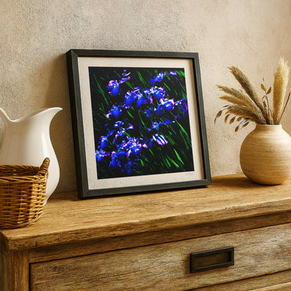 Japanese Iris Print