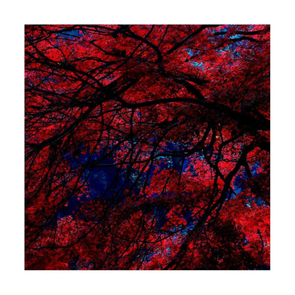 Japanese Garden Maple Print