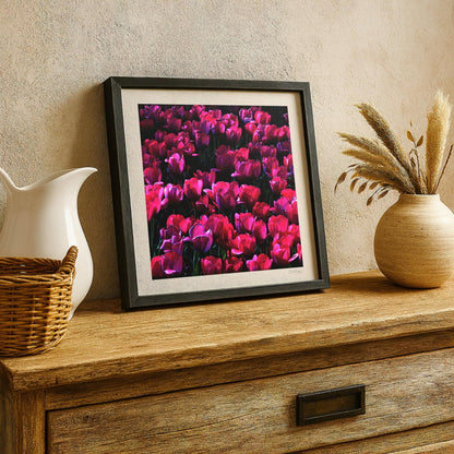 Red Tulip Print