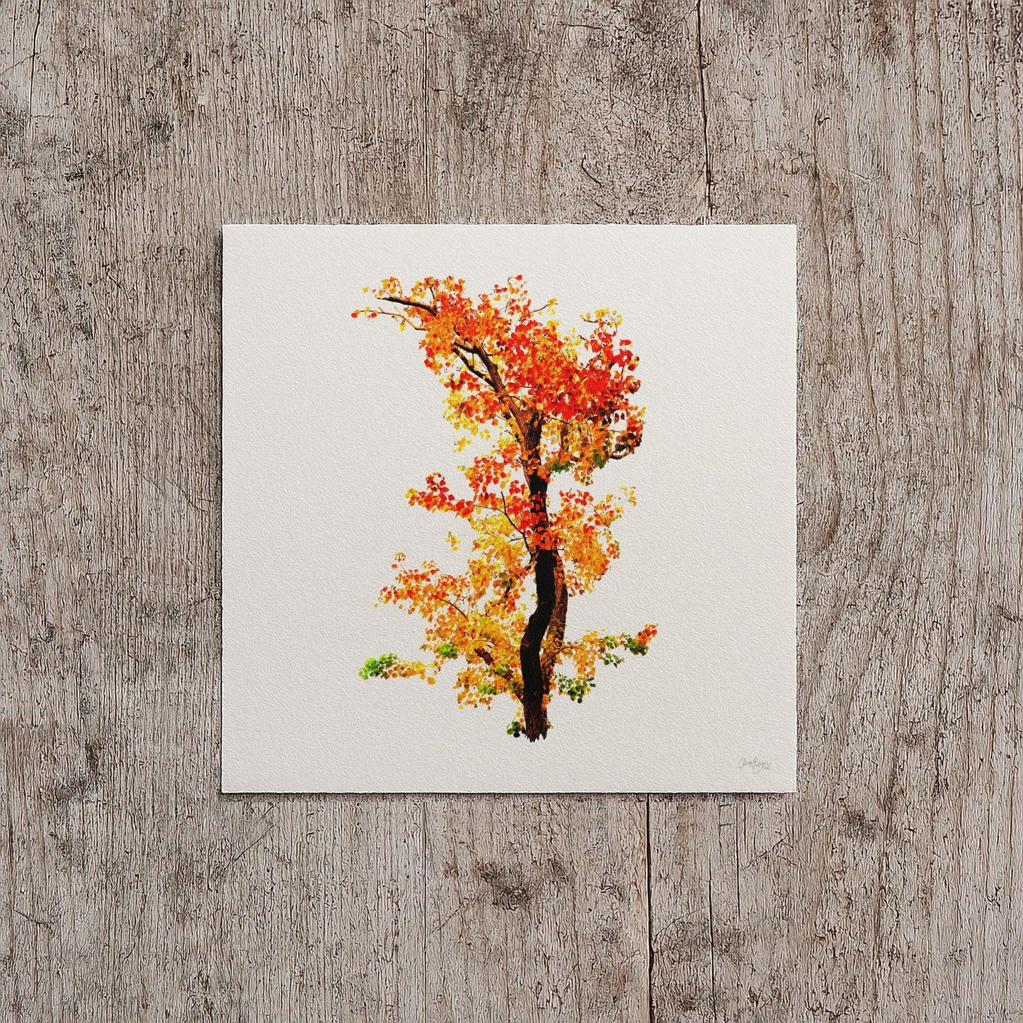 Fall Tree Wall Print