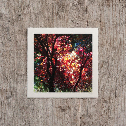 Warm Glow Impressionist Fall Wall Print