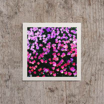 Rainbow Tulip Print