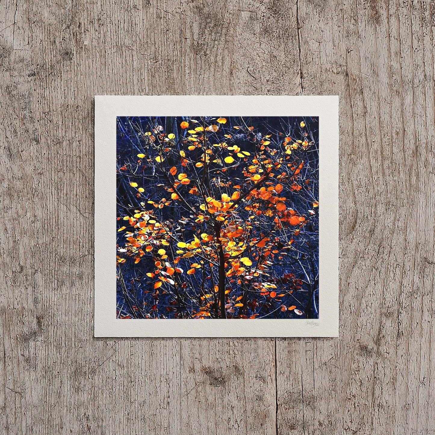 Navy Blue Fall Tree Print
