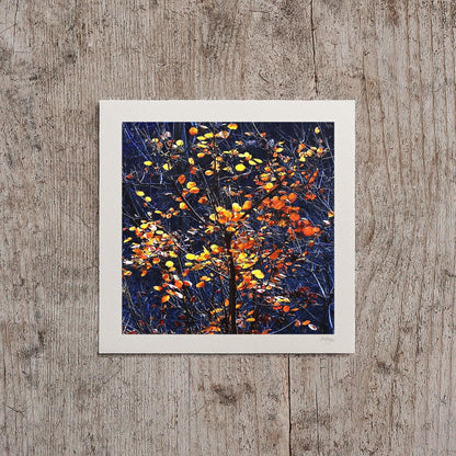 Navy Blue Fall Tree Print