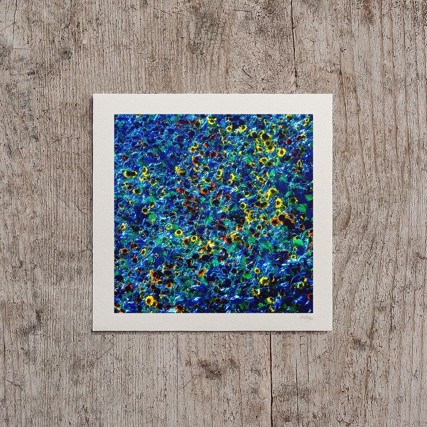 Yellow and Blue Sunflower Print