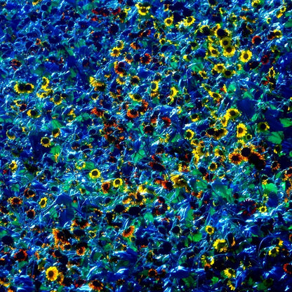 Yellow and Blue Sunflower Print
