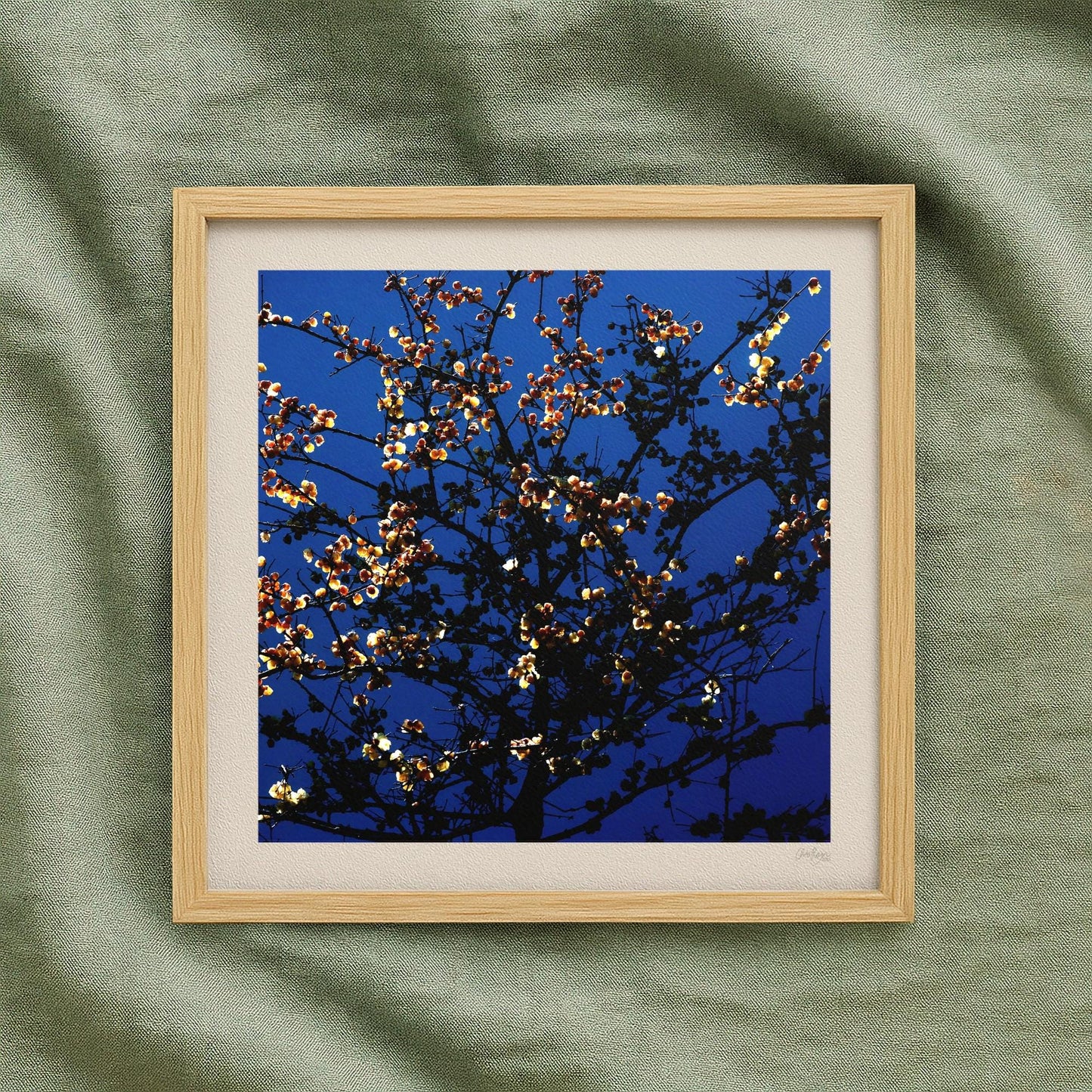 Dark Blossom Print
