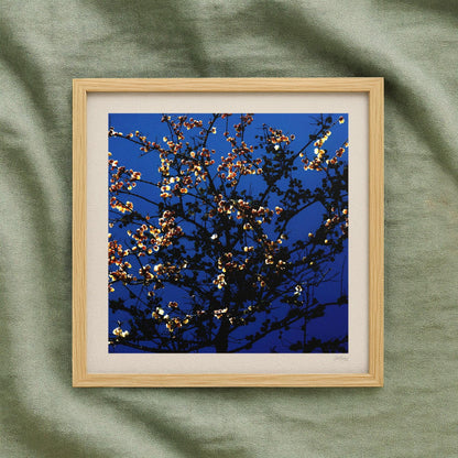 Dark Blossom Print