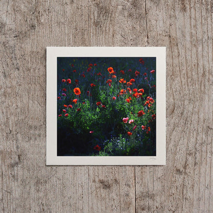 Red Poppy Print