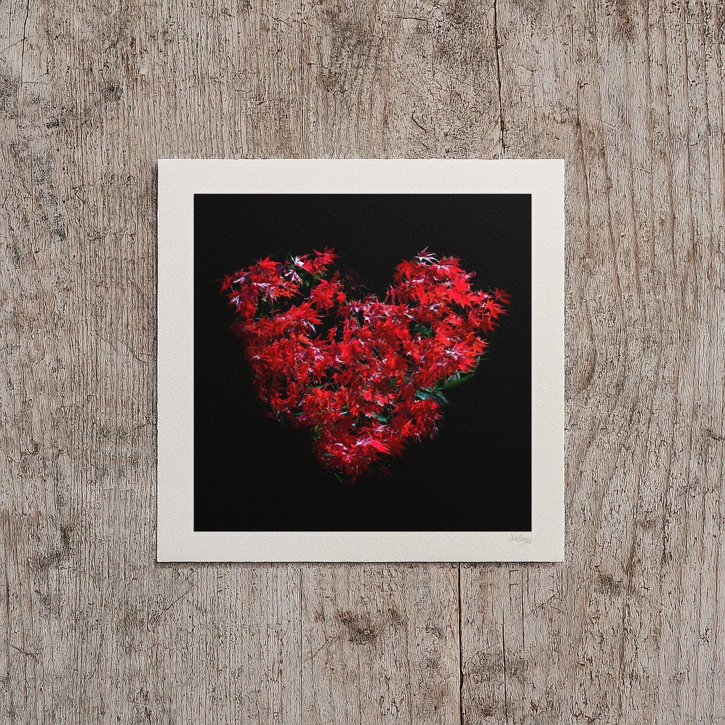 Romantic Maple Heart Print