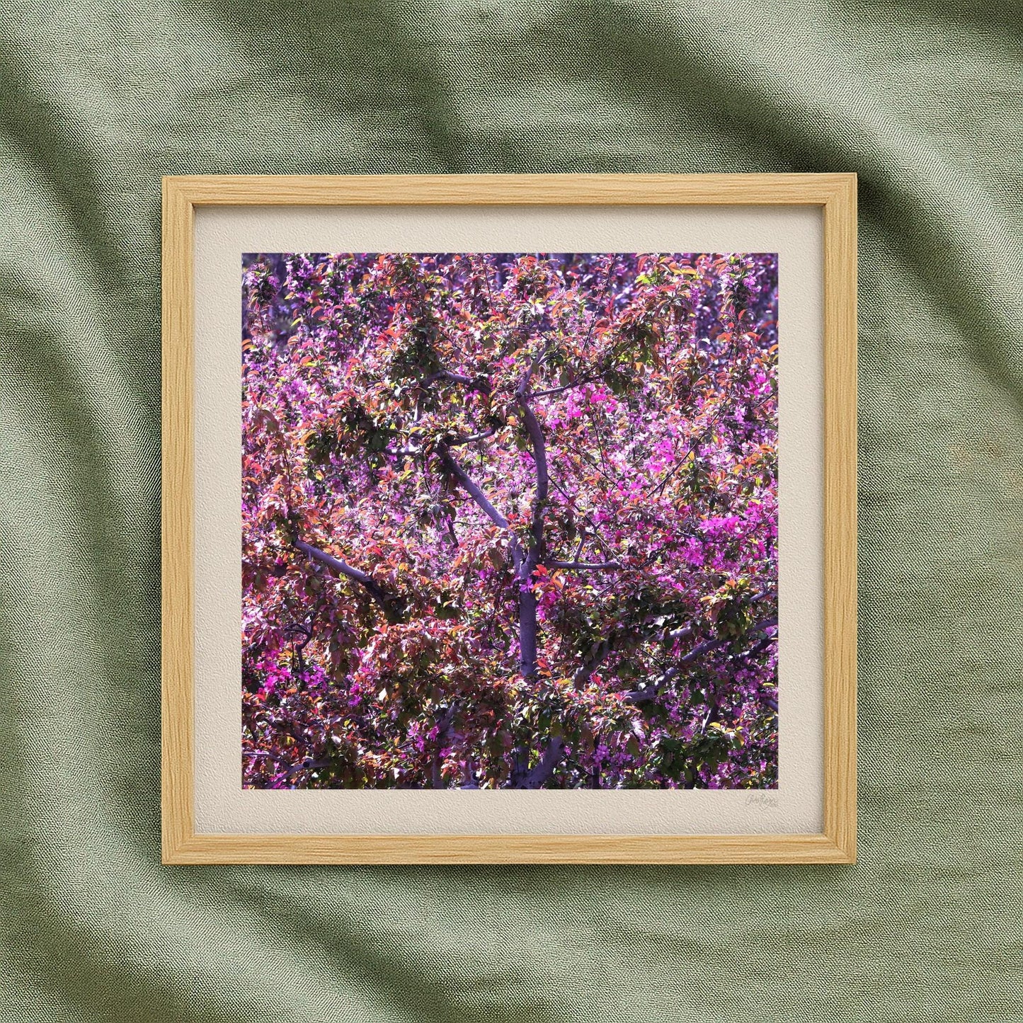 Apple Blossom Mauve Print