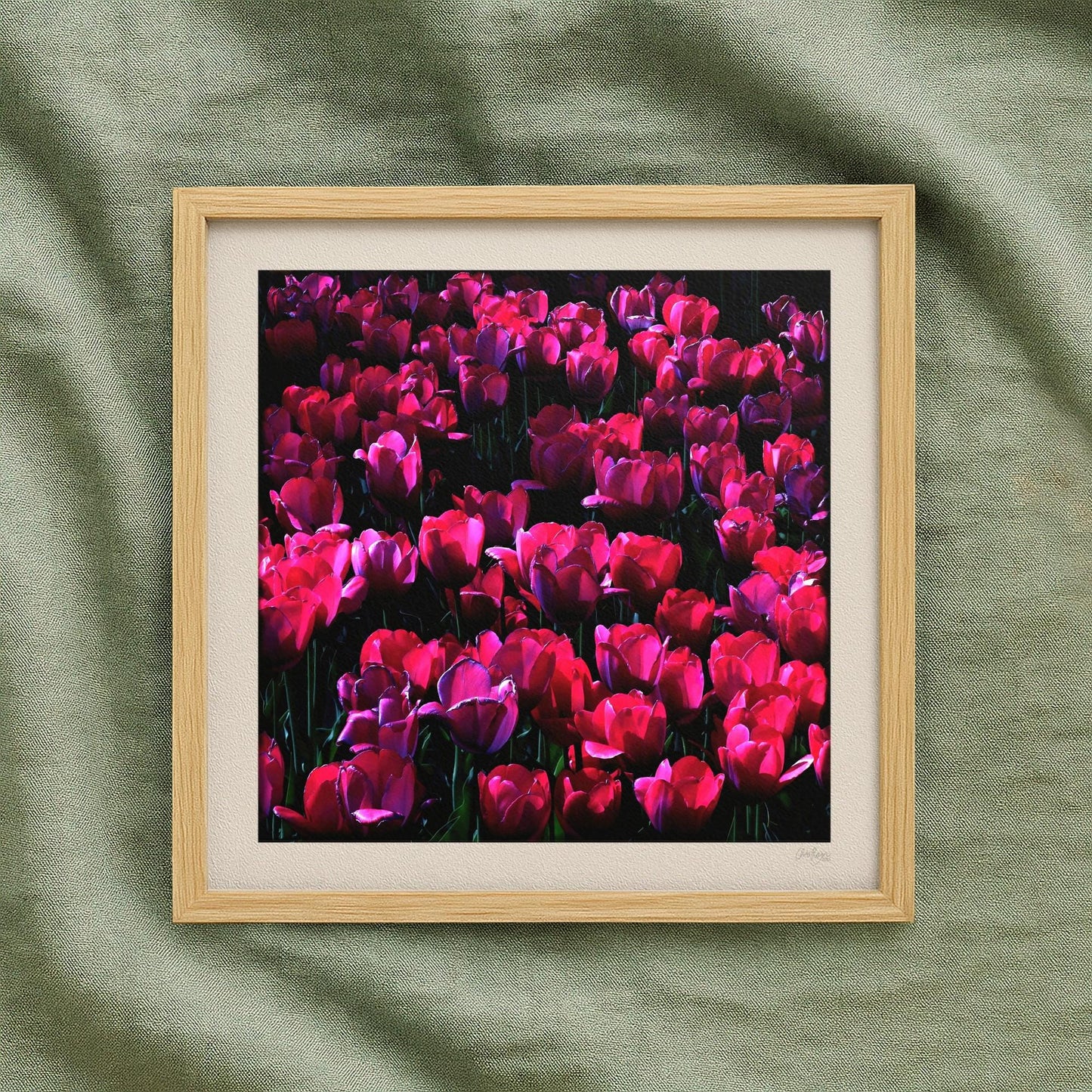 Red Tulip Print