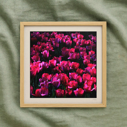 Red Tulip Print