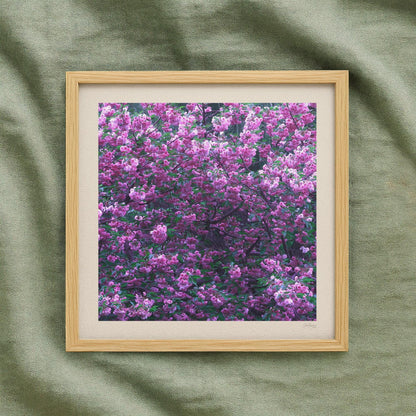 Mauve Cherry Blossom Print