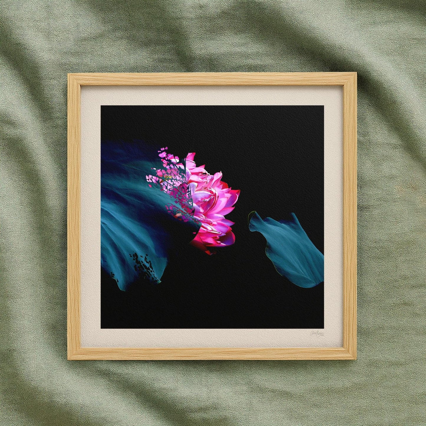 Pink Lotus Flower Print