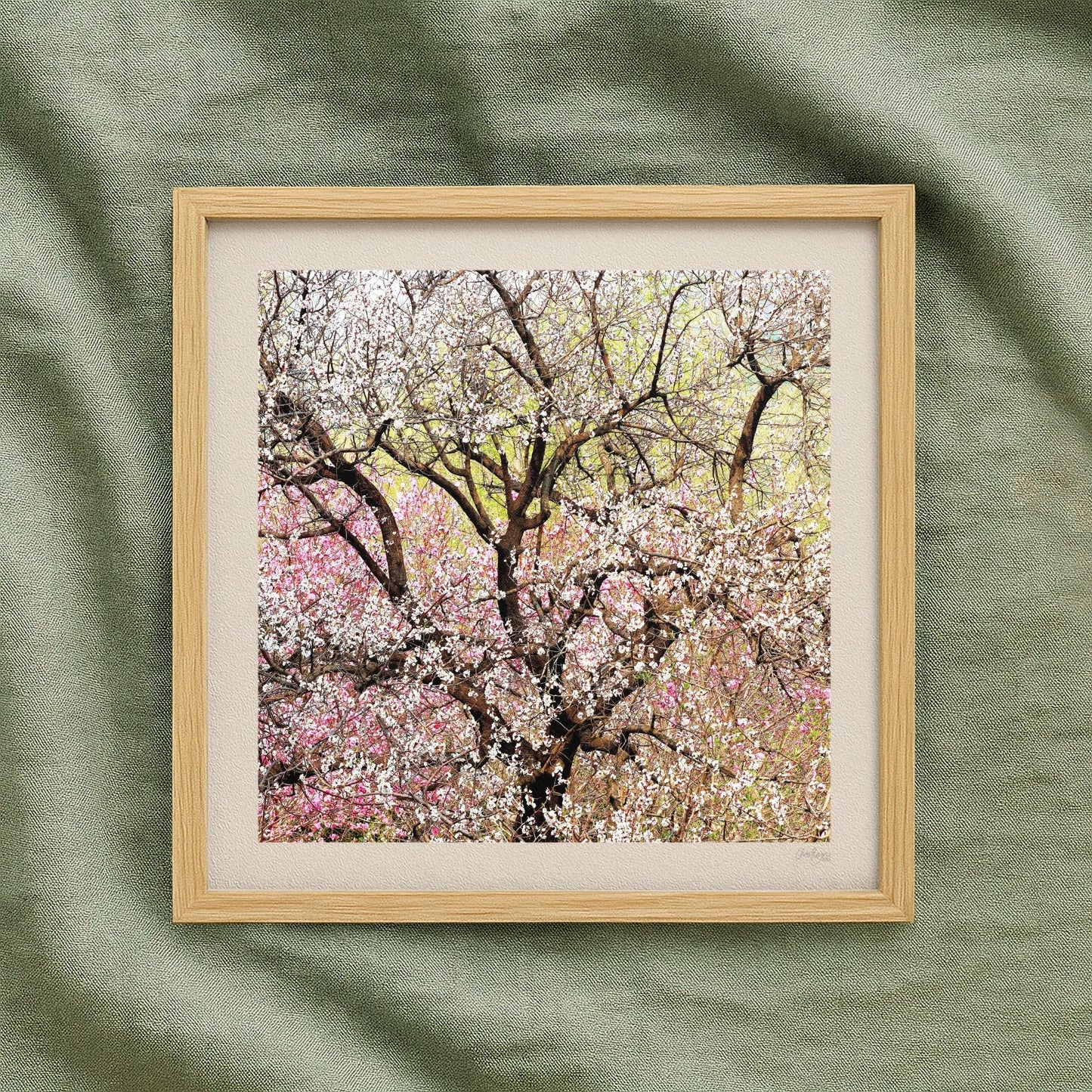 Pastel Peach Blossom Mini Print