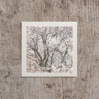 Blush Pink Blossom Snowstorm Print