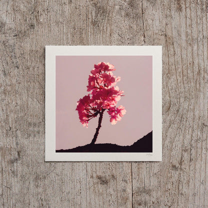 Cherry Blossom Mini Print