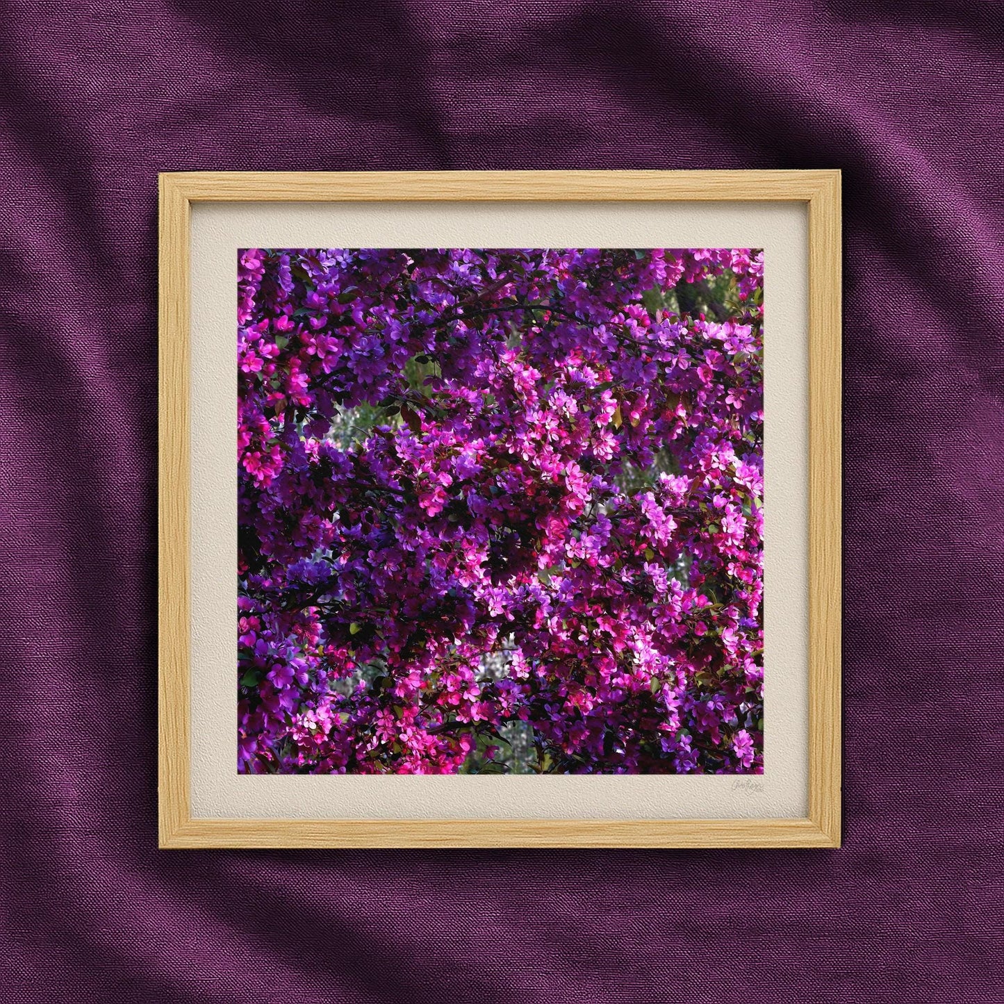 Hot Pink Wheel of Spring Print