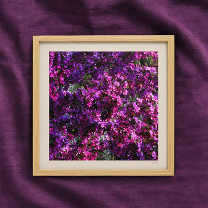 Hot Pink Wheel of Spring Print