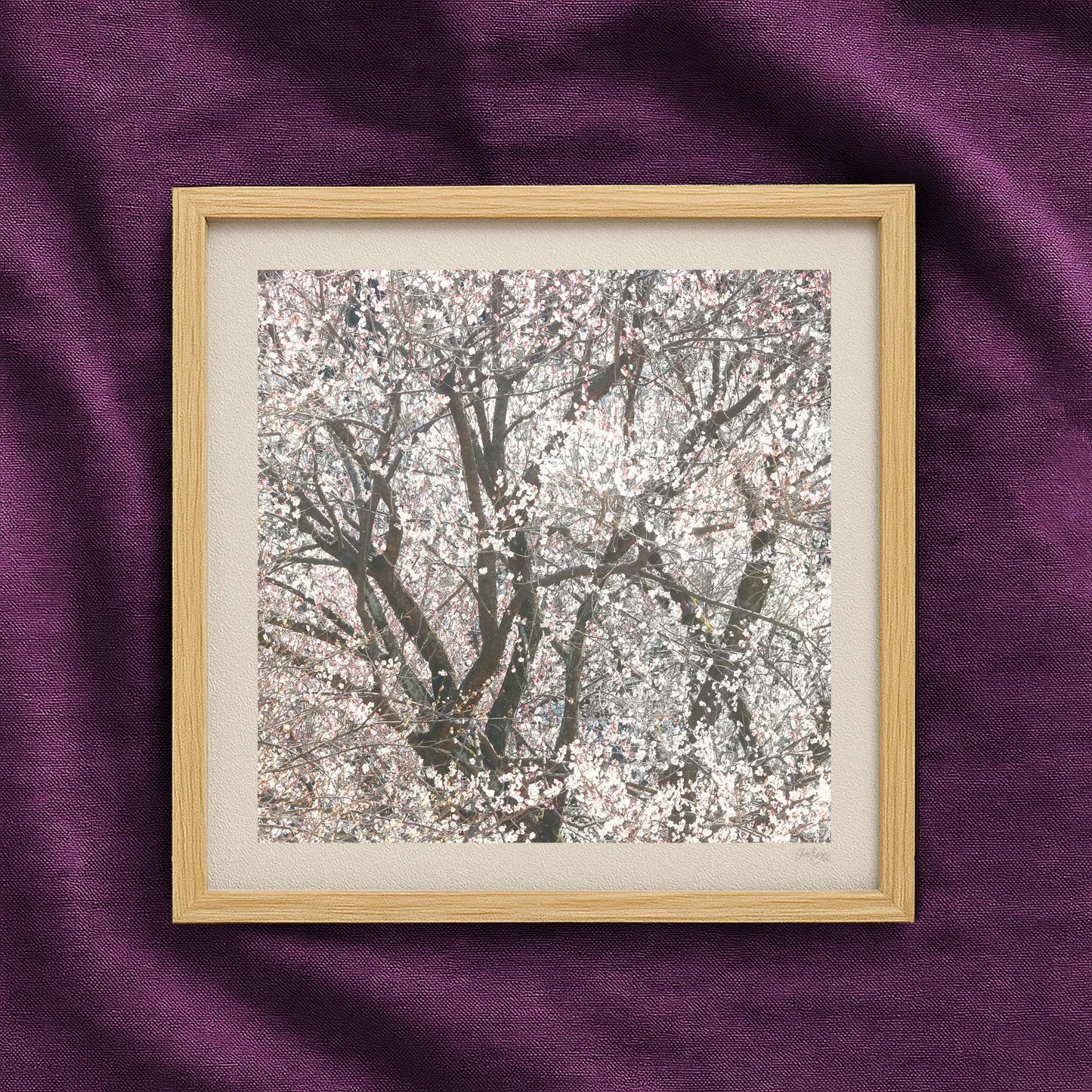 Blush Pink Blossom Snowstorm Print