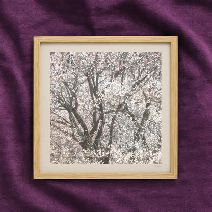 Blush Pink Blossom Snowstorm Print