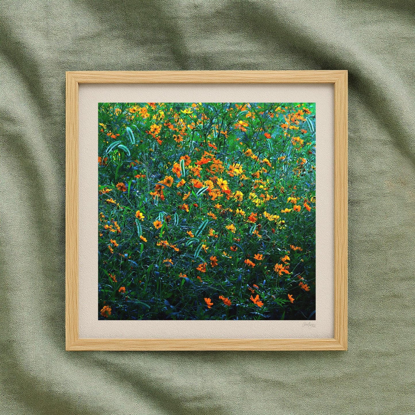 Orange and Green Cosmos Flower Print