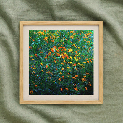Orange and Green Cosmos Flower Print