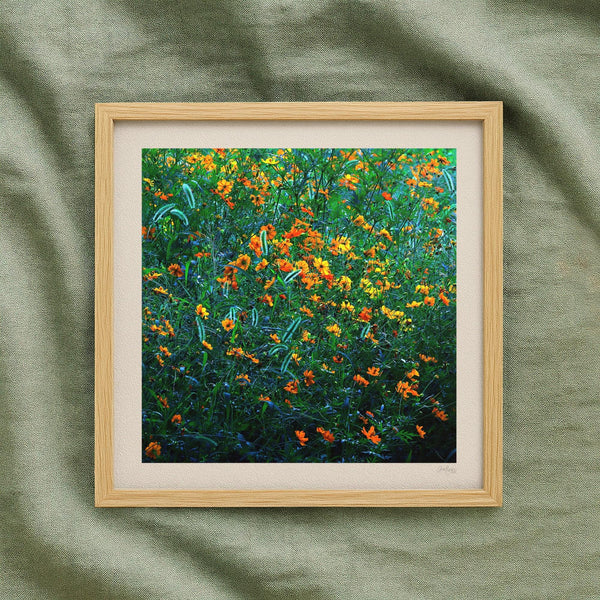 Orange and Green Cosmos Flower Print