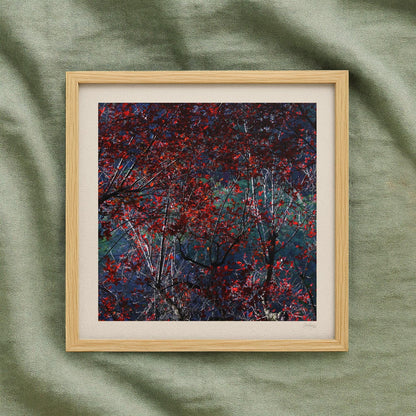 Crimson Red Gothic Print