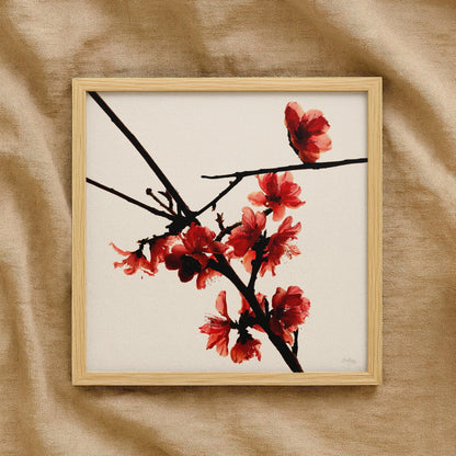 Red Peach Blossom Print