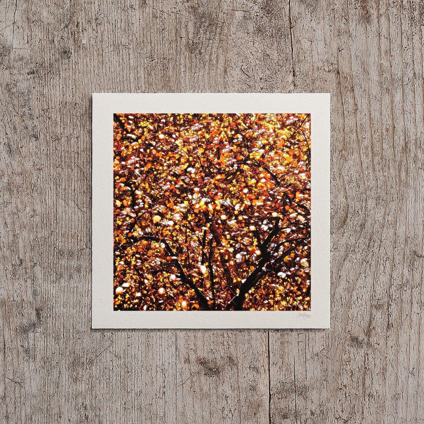 Pointillist Snow Tree Print