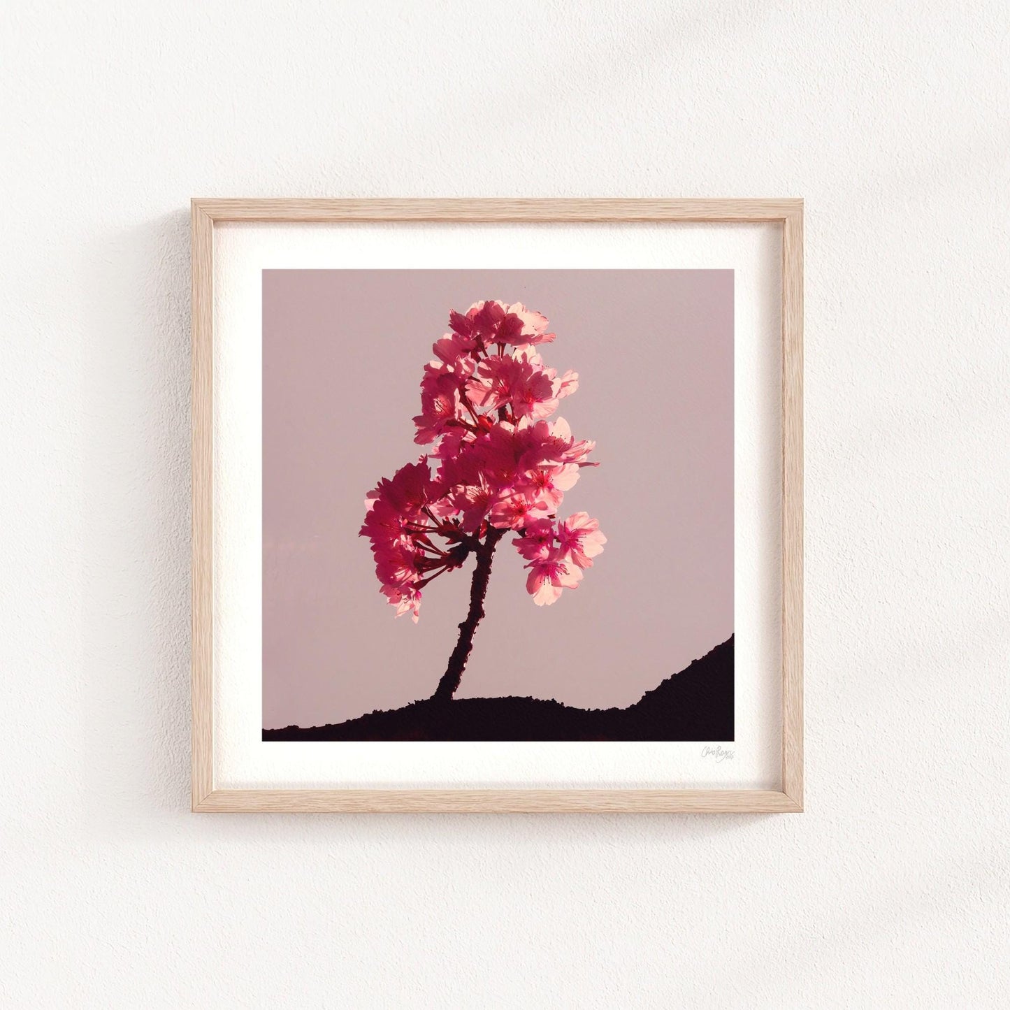 Cherry Blossom Mini Print
