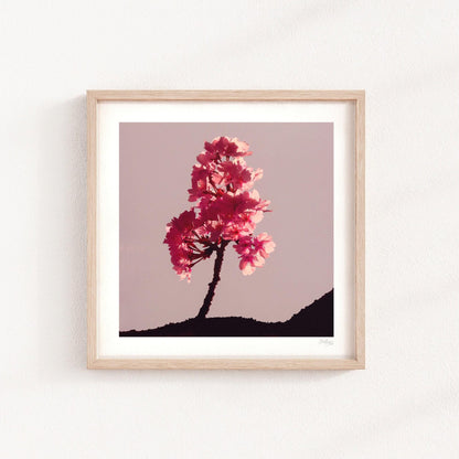 Cherry Blossom Mini Print